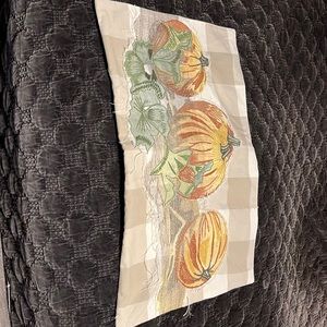 Pair of Pottery Barn pillow covers